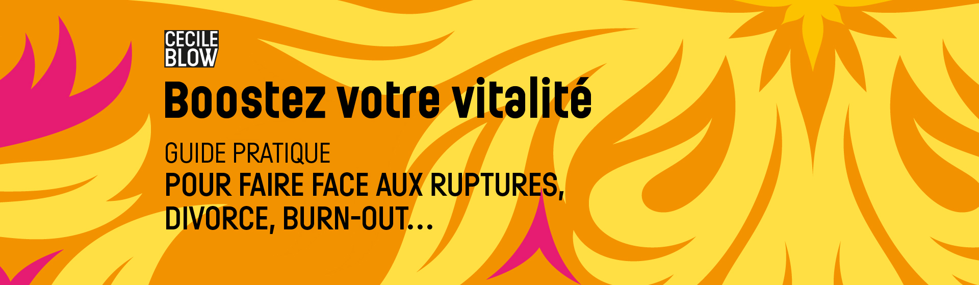 Boostez votre vitalité.Guide pratique pour faire face aux ruptures, divorce, burn-out… de Cecile Blow